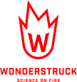 Wonderstruck Spectacular STEM Workshops & Showsworkshop